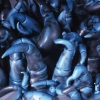Detail Infestation