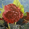 Kimjongilias a.k.a. Flower Paintings no. 4