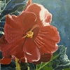 Kimjongilias a.k.a. Flower Paintings no. 3
