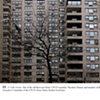 Communist Guide to New York City no. 53