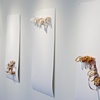 Untitled, Installation View