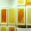 Systemic, installation 2