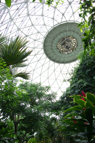 Atmospheric Facilitation Mechanism (Tropic)