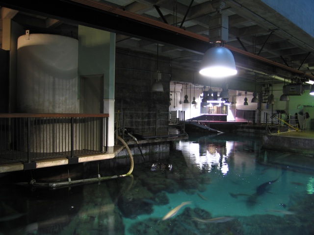 Marine Environment Simulation Tank (Pacific)