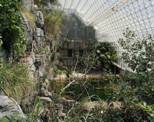 Synthetic Subtropical Marine Biome