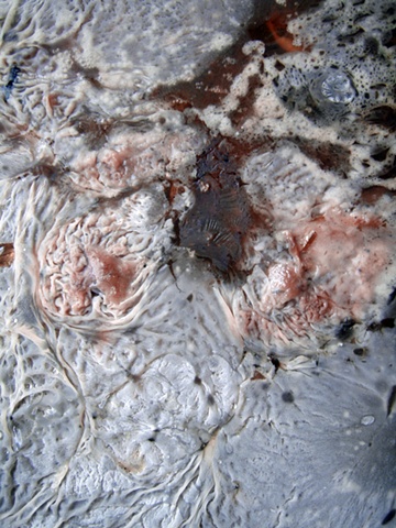 Bacterial Cosmos #3 (Stovetop Planetary Storm)