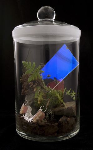 Biosphere Module #1 (Earth and Sky)
