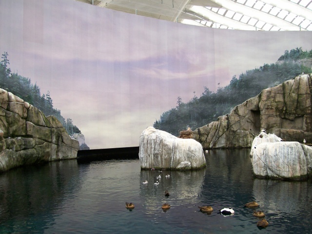 Synthetic Arctic Biome