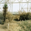Synthetic Coastal Desert Biome
