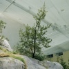 Synthetic Coastal Temperate Range Biome