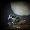 Unknown Mineral 2