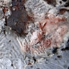 Bacterial Cosmos #3 (Stovetop Planetary Storm)