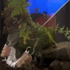 Biosphere Module #1 (Earth and Sky)