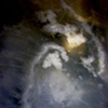 Bacterial Cosmos