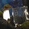 Biosphere Module #11 (Patience and Prism)