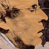 Commute (detail)
