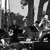 Mondo Cane (Mike Patton)