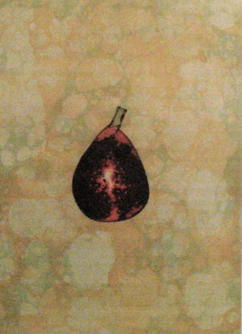Fig