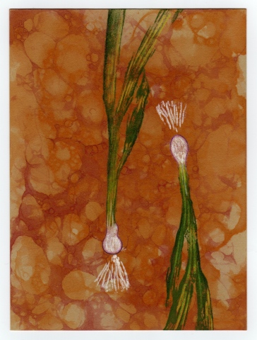 "Onions"