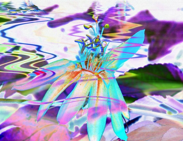 "Brilliant Symphony"