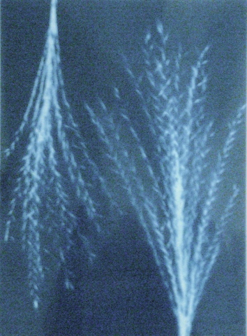 Cyanotype