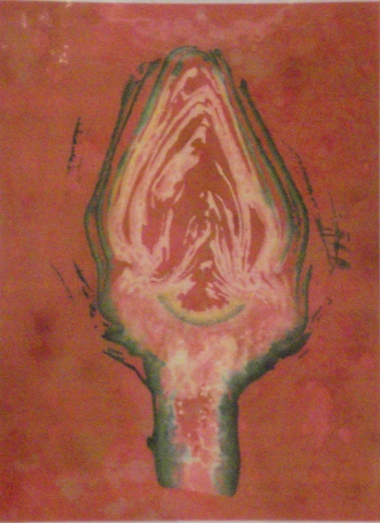 Artichoke