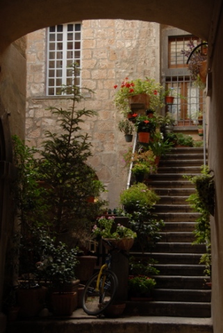 "Andrea's Scalinata, Montefalco, Italy"--Heather A. Teets