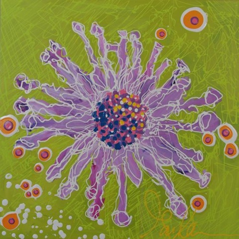 Osteropermum (Whirling Daisy)
