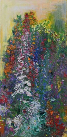 Delphinium (Delphinium "Pacific Giant mix")