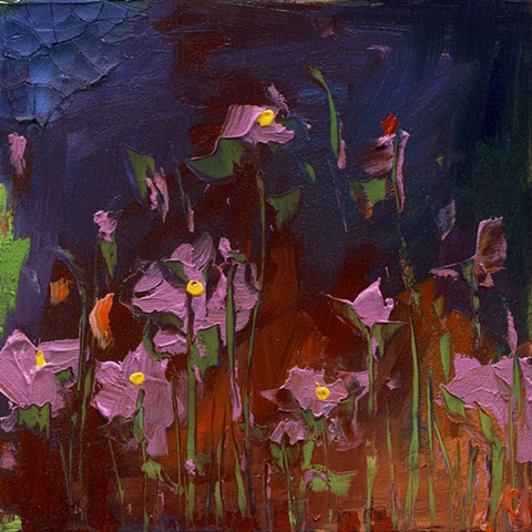 "Cosmos...Evening"