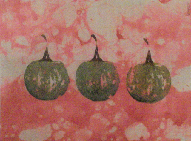Three Thai Eggplants