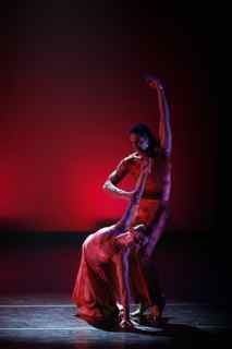 "_MG_8884" by Michael Wilson