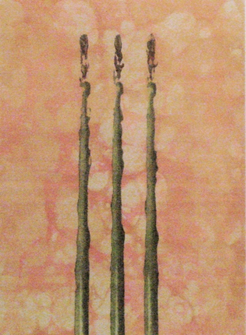 Three Asparagus