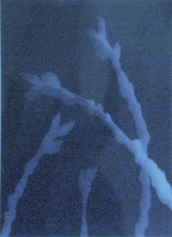 Cyanotype