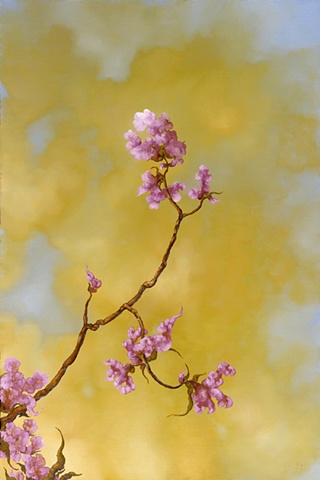 Del Ray Bloom--Adam Hayward