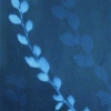Cyanotype