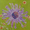 Osteropermum (Whirling Daisy)