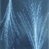 Cyanotype