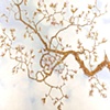 Magnolia--Adam Hayward