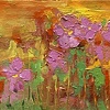 "Cosmo...-Late Afternoon"