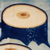 "heavy sap flow"