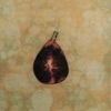 Fig