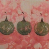 Three Thai Eggplants