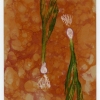 "Onions"