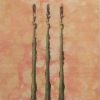 Three Asparagus