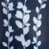 Cyanotype