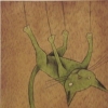 "Green Cat"