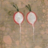 Two Radishes