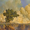 Brook Canyon--Adam Hayward