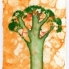 "Broccoli"